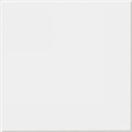 (N)Grīdas flīzes PP400 white glossy  33.3x33.3 cm 